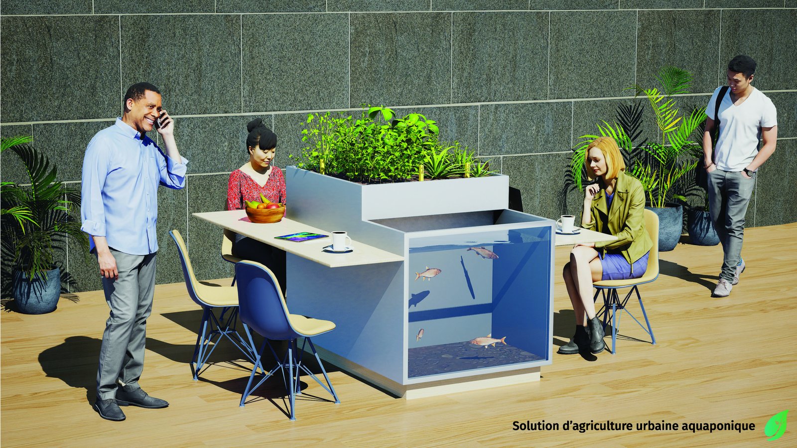 Station Aquaponie Corner Aqua