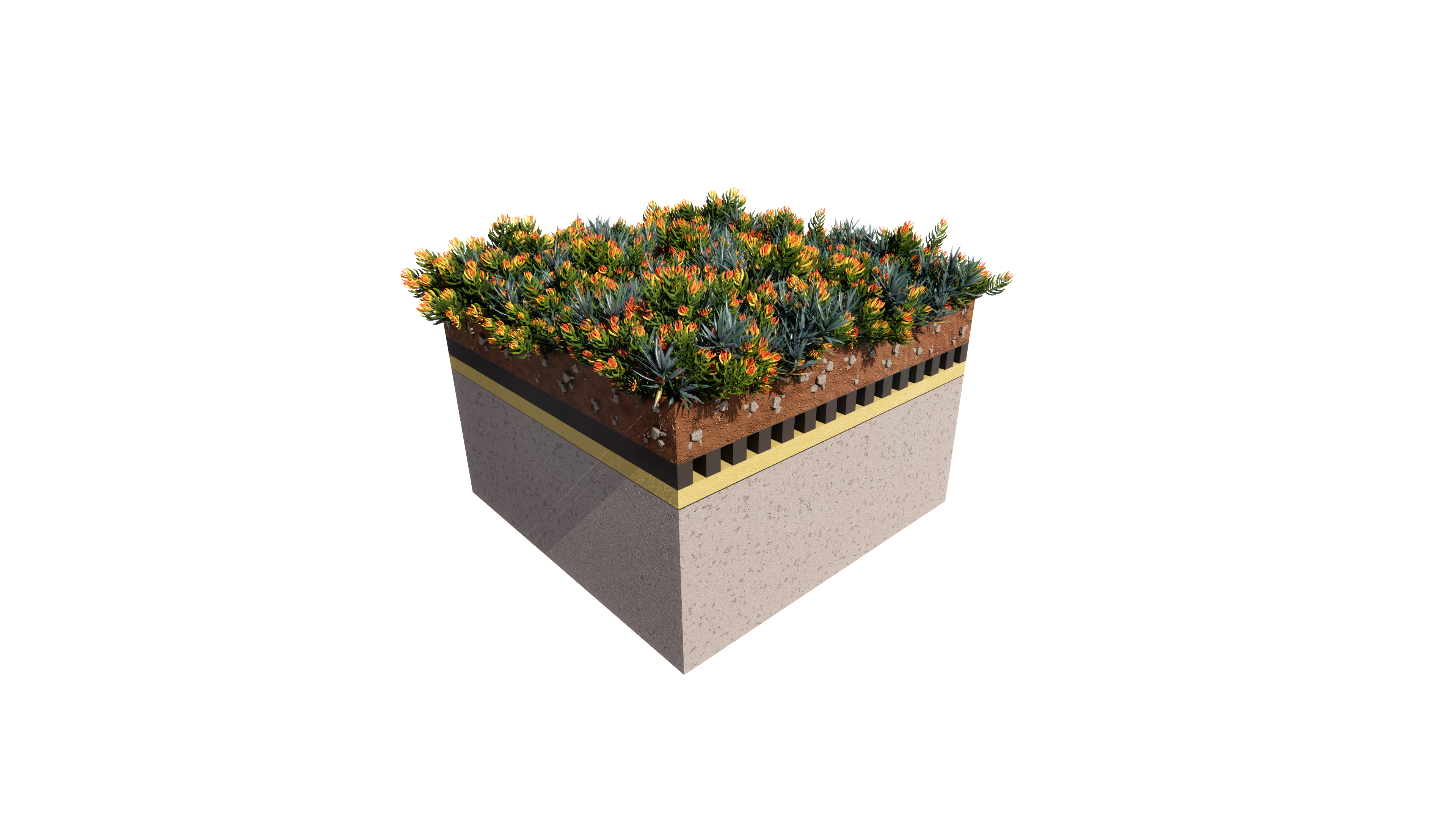Toiture végétalisée extensif — vue technique