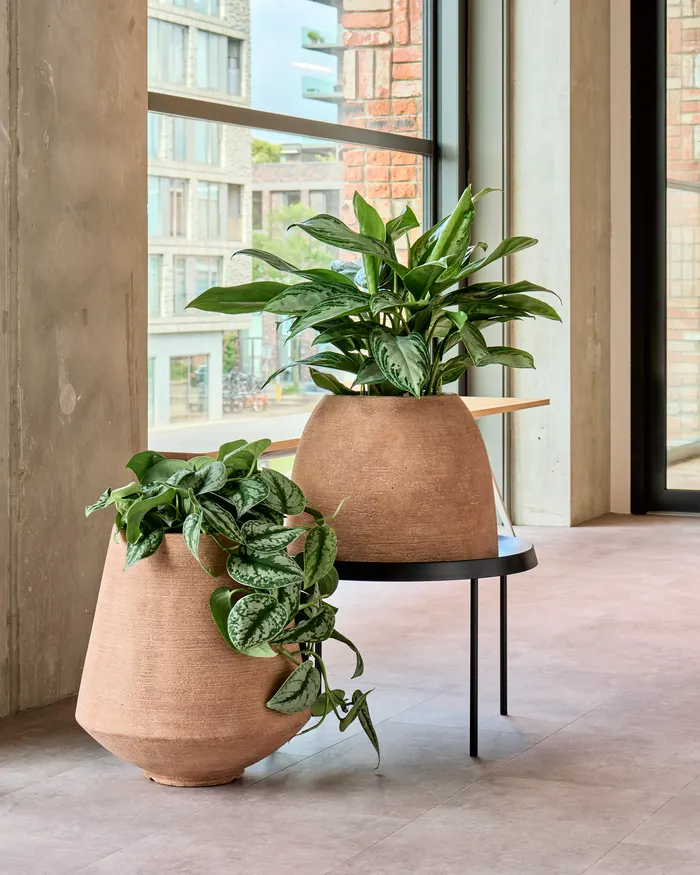 Colorado Planter Terra Dark