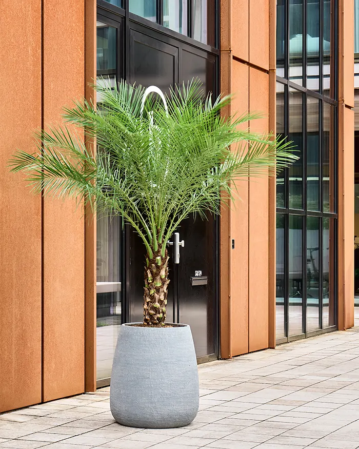 Dolomites Planter Dark Grey