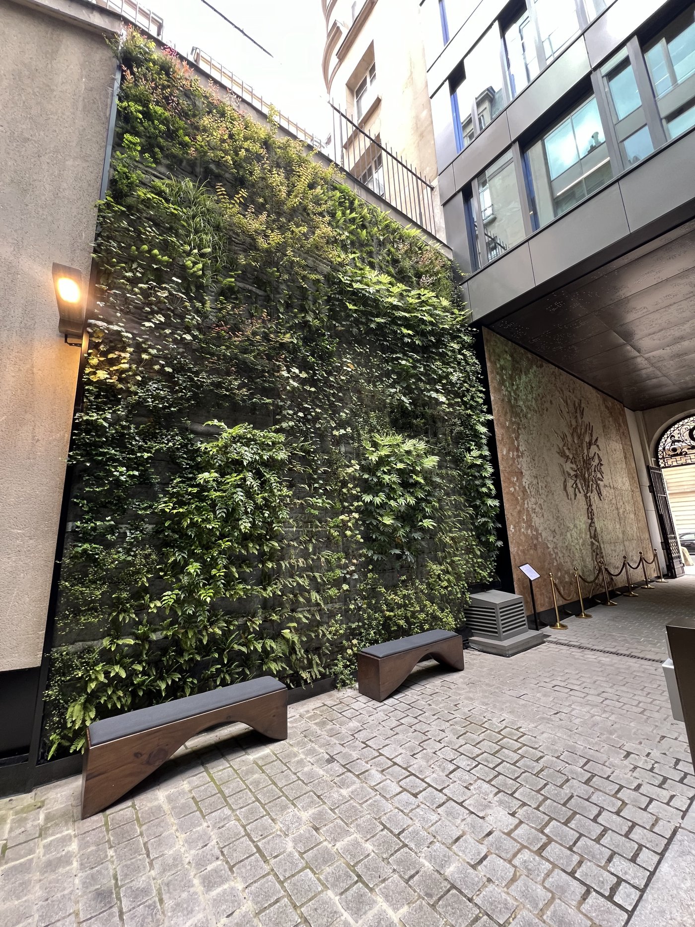 Mur végétal extérieur Onepoint