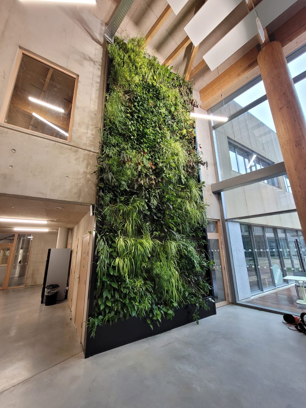 Mur végétal naturel ETS Joséphine Beker — réalisation Garden Events