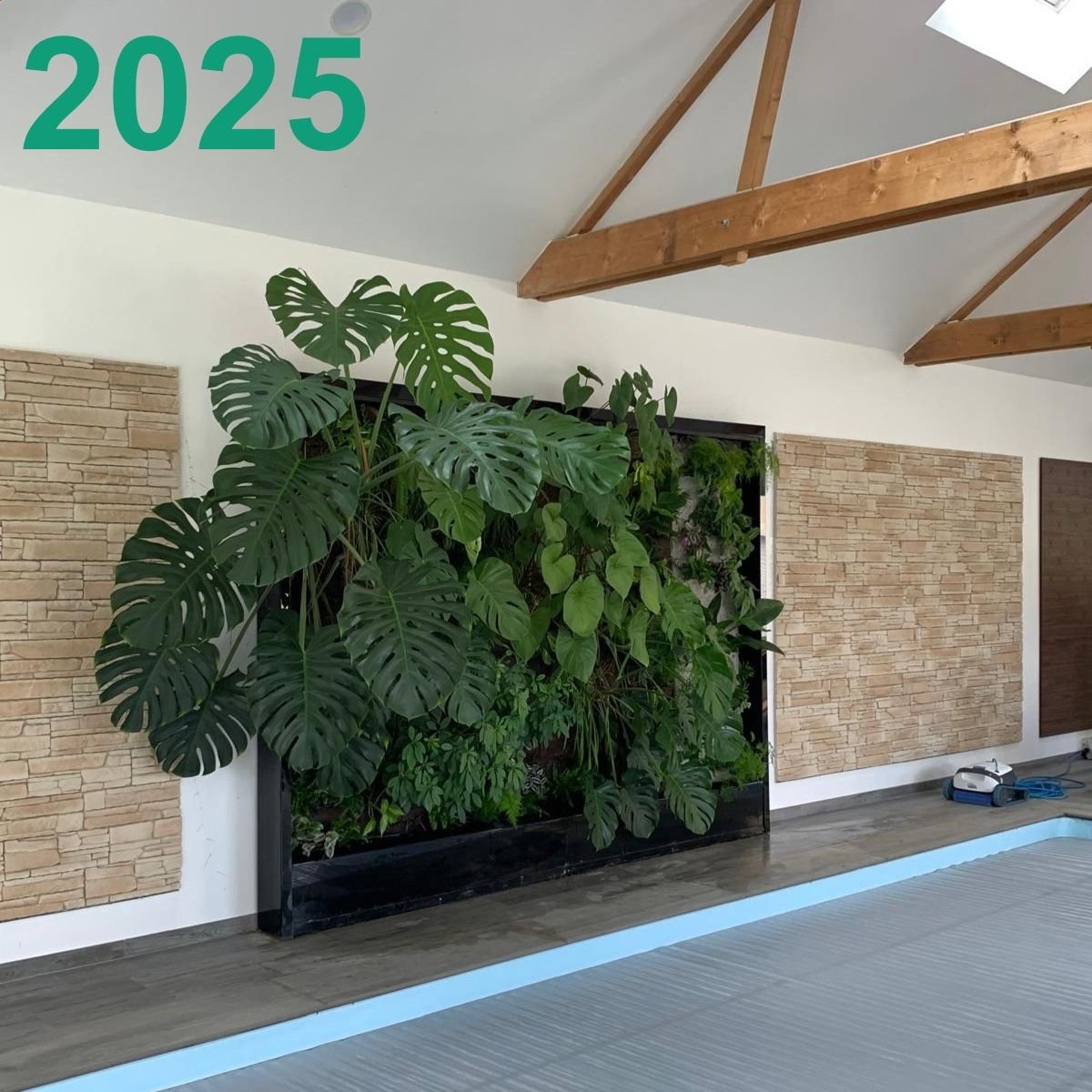 Mur végétal Mr Lucas 2025