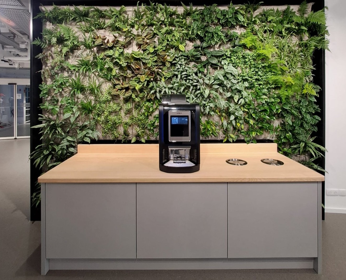 Mur végétal naturel showroom Salomon Annecy — réalisation Garden Events