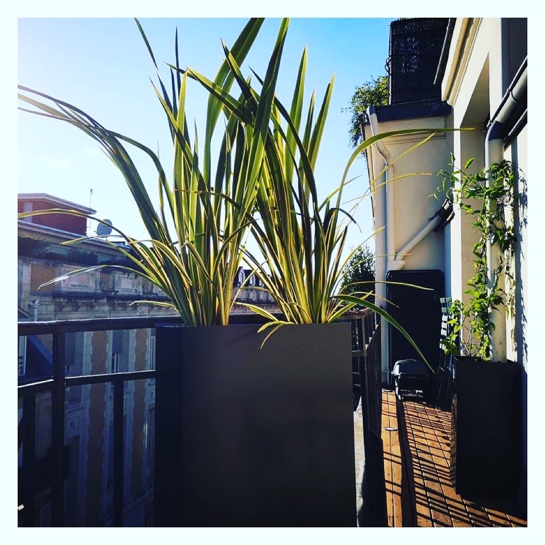 Les débuts — Garden Events