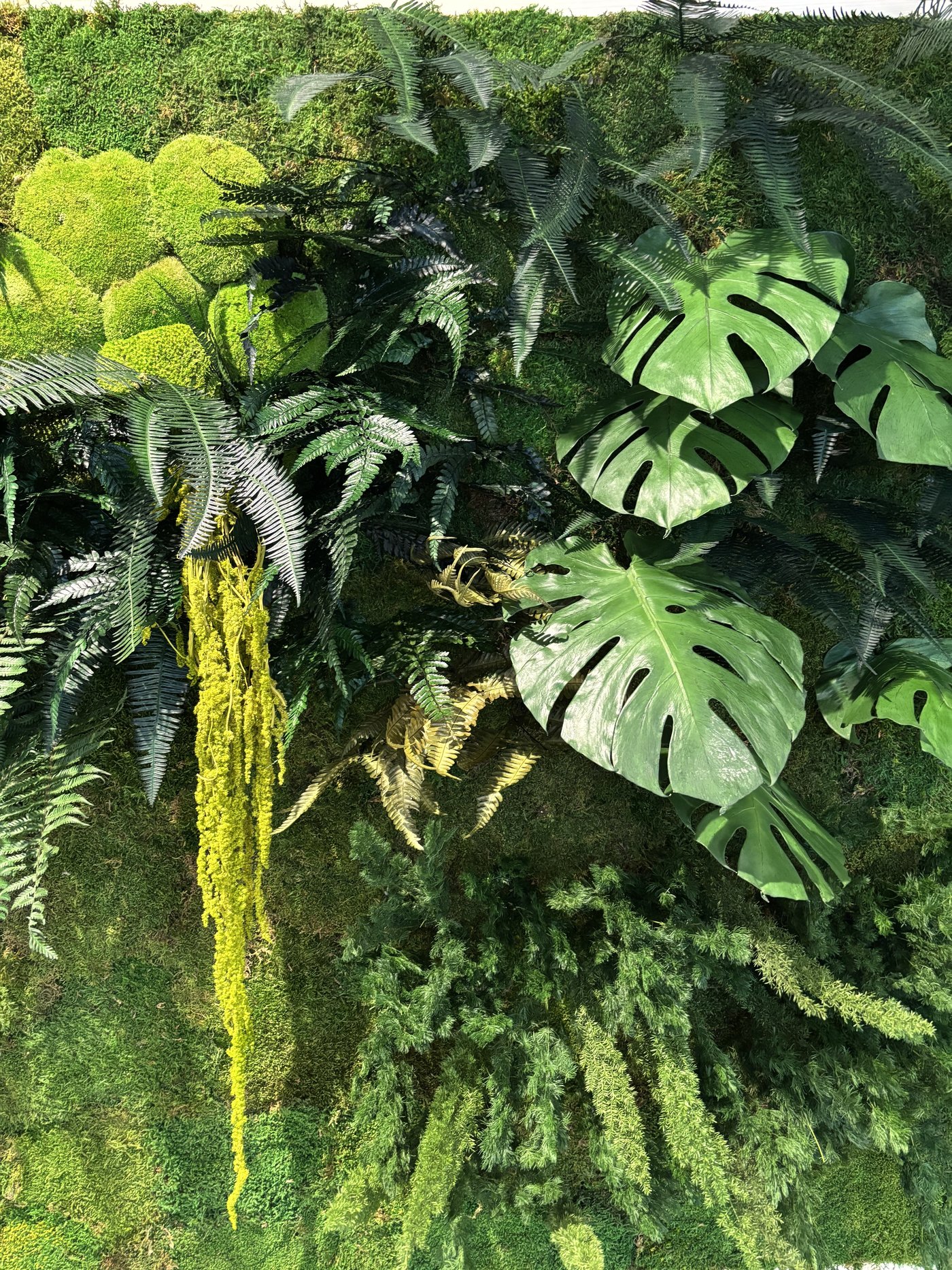 Lichen