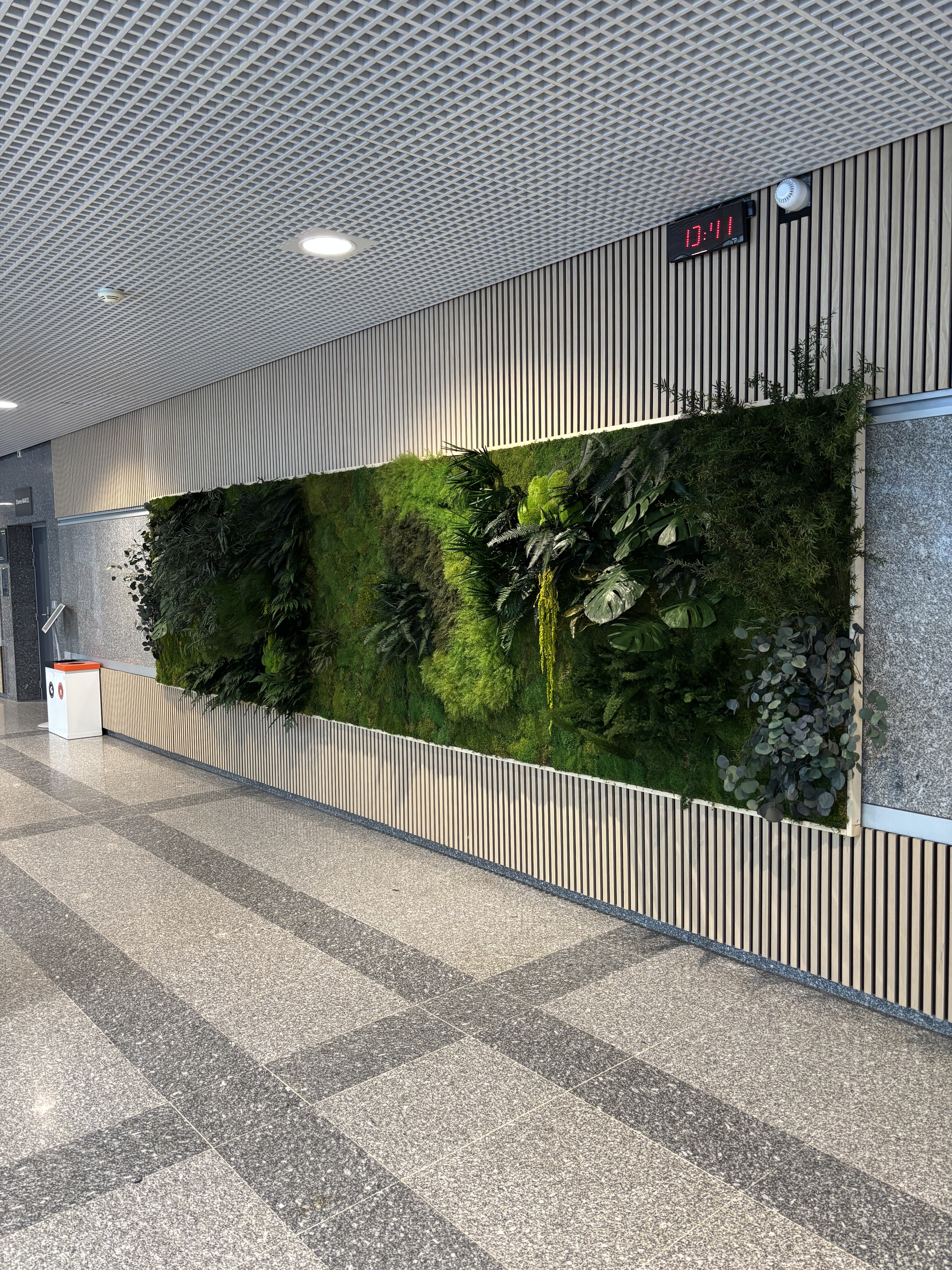 Un plan végétal pensé comme un projet