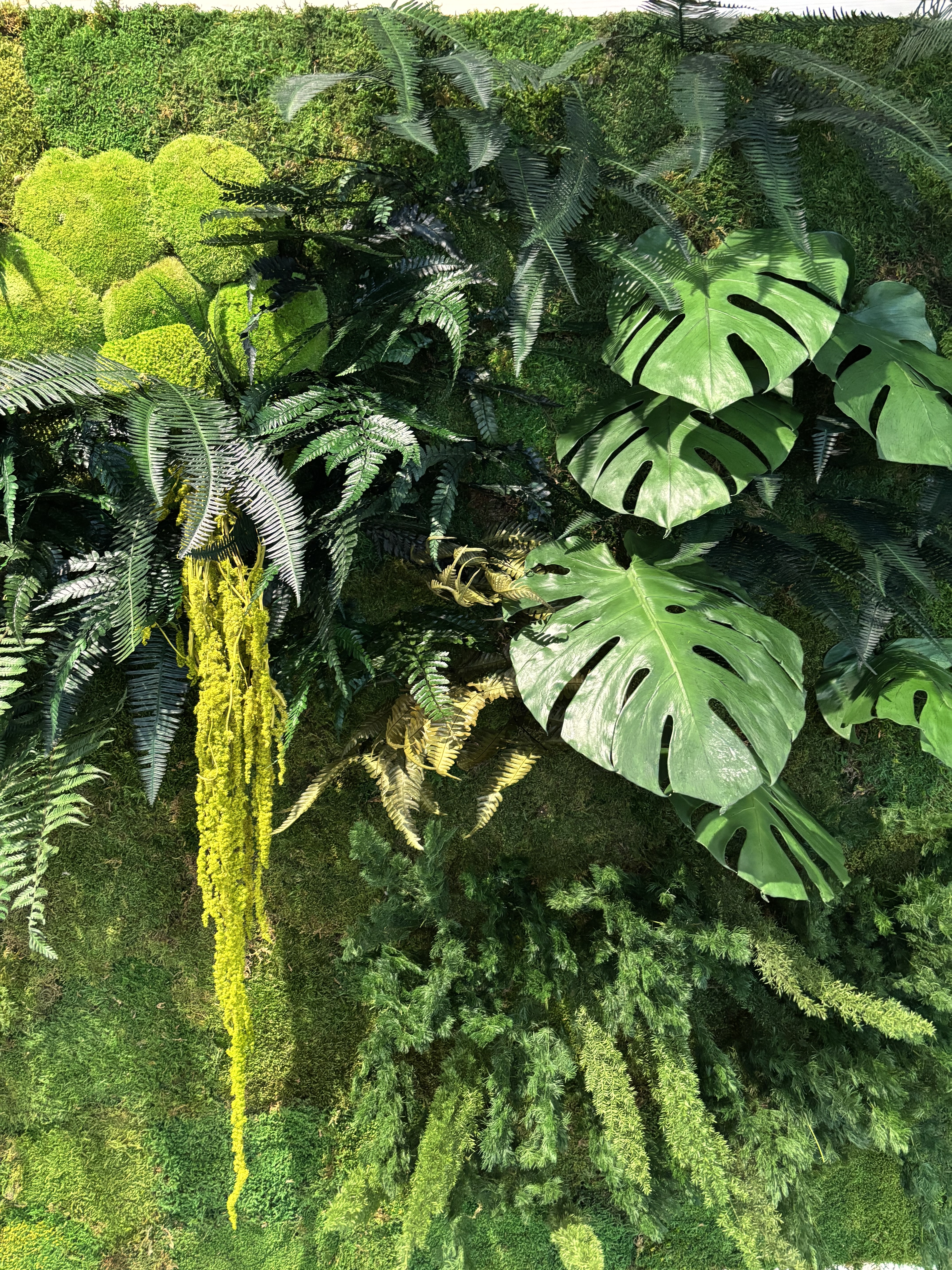 Mur végétal intérieur sans fixation