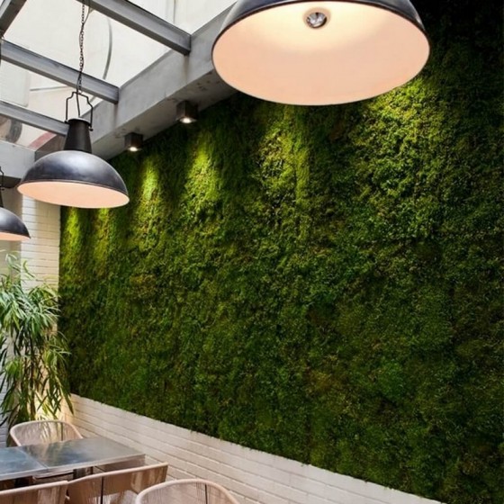 Murs végétaux stabilisés